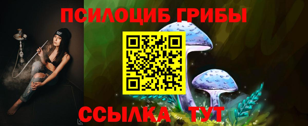 магазин продажи наркотиков  Вход с VPN  Ливны  Псилоцибиновые грибы прущие грибы  Галлюциногенные грибы мухоморы 